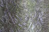 Laurieston fibreglass roof work